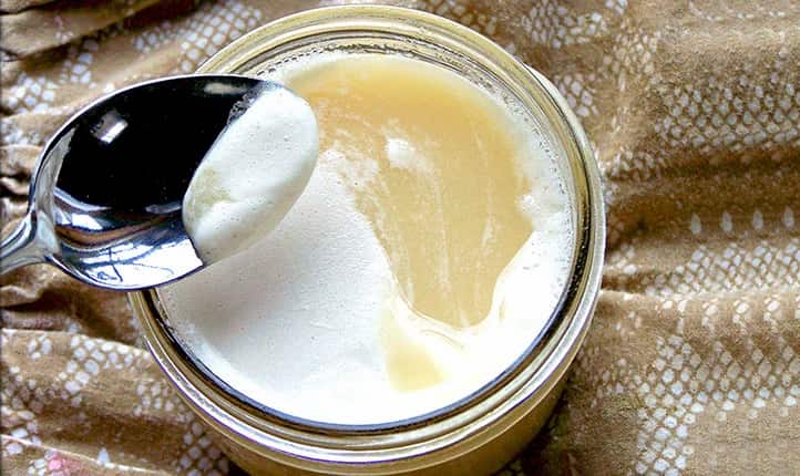 قیمت خرید عسل کنار سفید + فروش ویژه